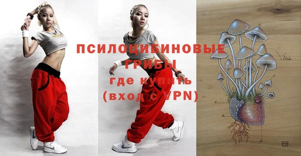 мдма Богданович