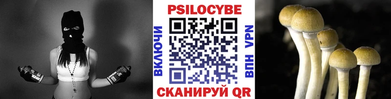 Псилоцибиновые грибы ЛСД Кинешма